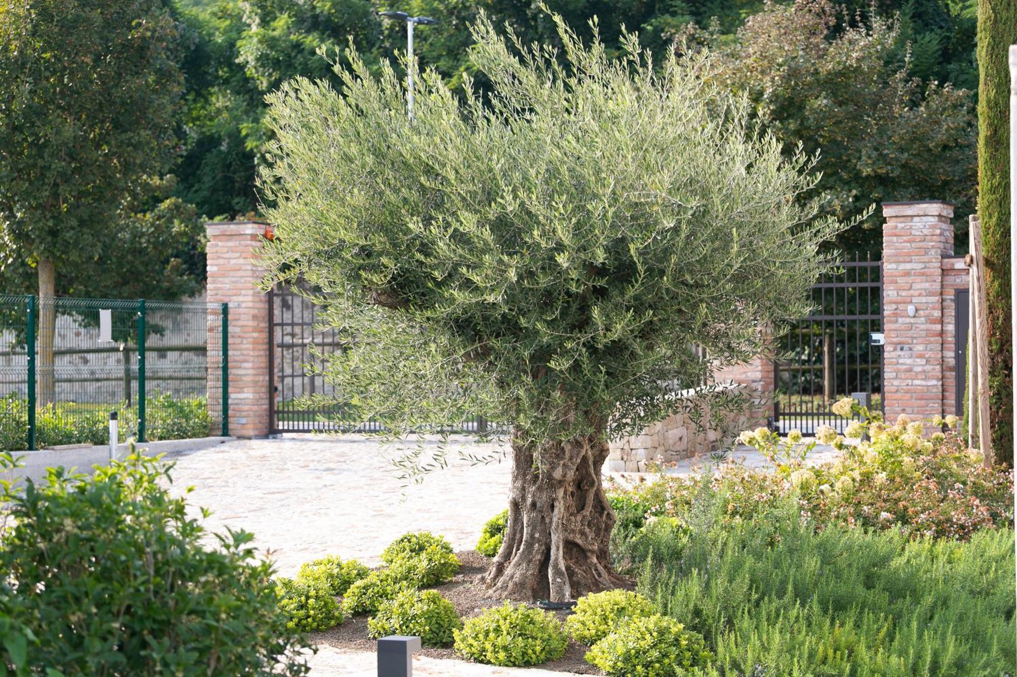 Casa Massaro Todeschini Abano Terme Exterior foto